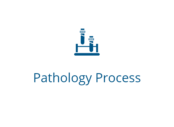 Pathology-Process
